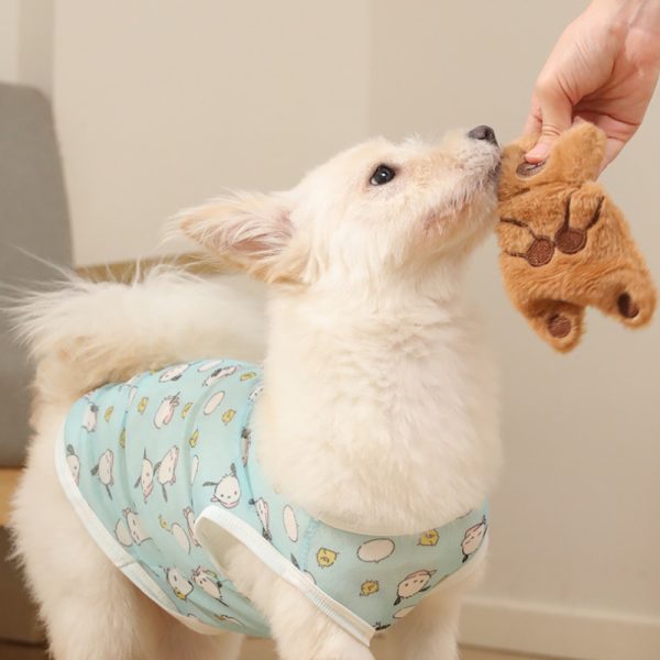 Kuscheltier für den Hund, Hochwertiger Plüsch-Braunbär mit Quietscher & Krinklepapier für interaktiven Spielspaß, 2er Set – Bild 6