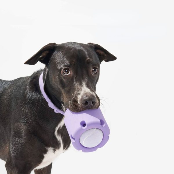 Hunde Intelligenzspielzeug, Lila Tennispokal mit Hundeball, Beschäftigungsspielzeug für Hunde zum Spielen & Lernen – Bild 3