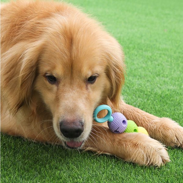 Hundespielzeug Unkaputtbar, TRP Drei-Ball Kauspielzeug für Spaß, Interaktives Spielzeug für Alle Hunde, Drei Farben – Bild 5